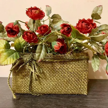 Πανσιόν Venis House