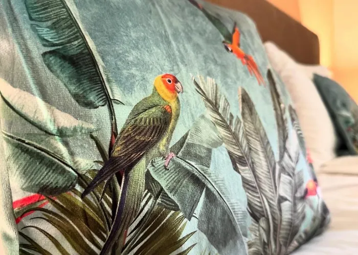 Venis House Pensión