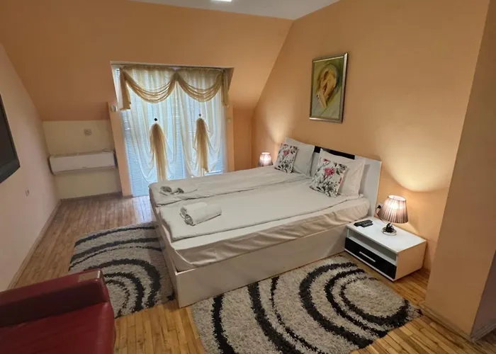 Pensión Venis House