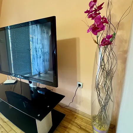 Venis House Гостьовий будинок Пловдив