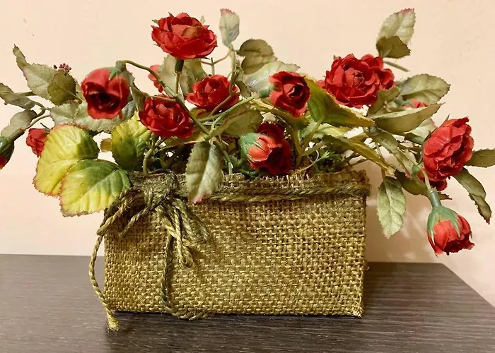 招待所 Venis House