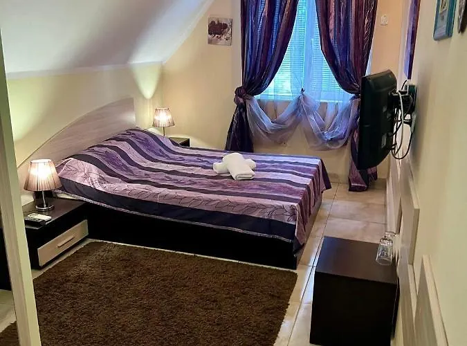 Venis House 招待所