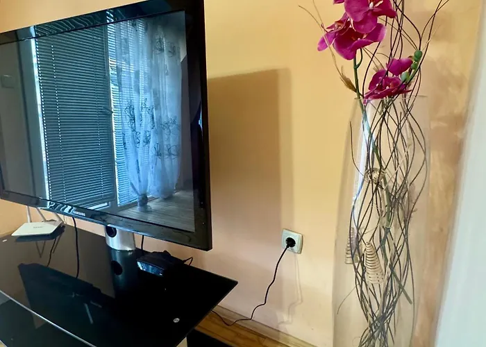 Venis House 招待所 普罗夫迪夫